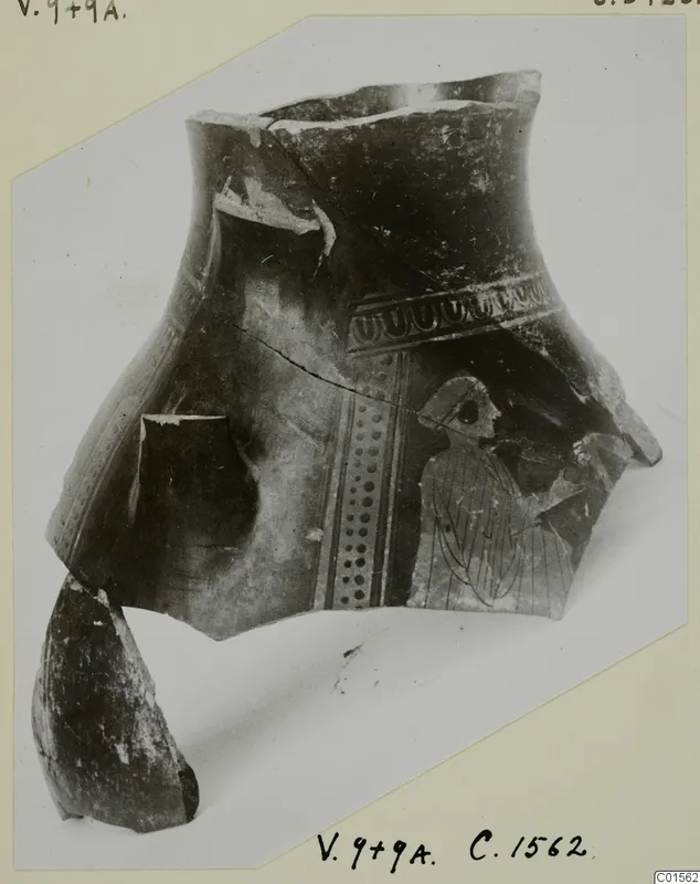Fragments of a pottery vessel from Vouni with a loop band, dotted panel and bird motif, on a photo mount
