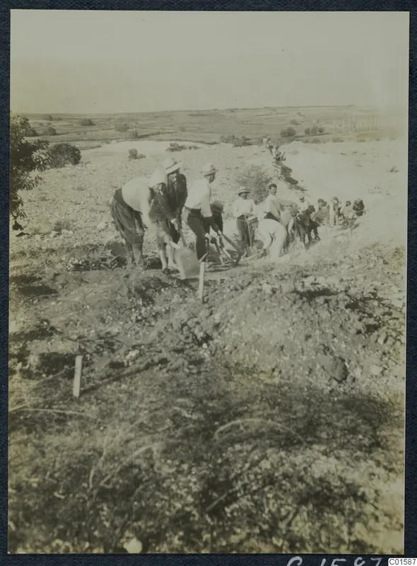 Workers digging with shovels in a trench at Soli, with a tree at the left edge and fields beyond.