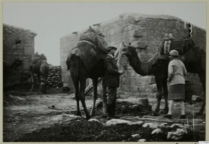 Erik Sjöqvist and Miss Atterman standing with loaded camels in front of stone buildings on the Karpas peninsula.