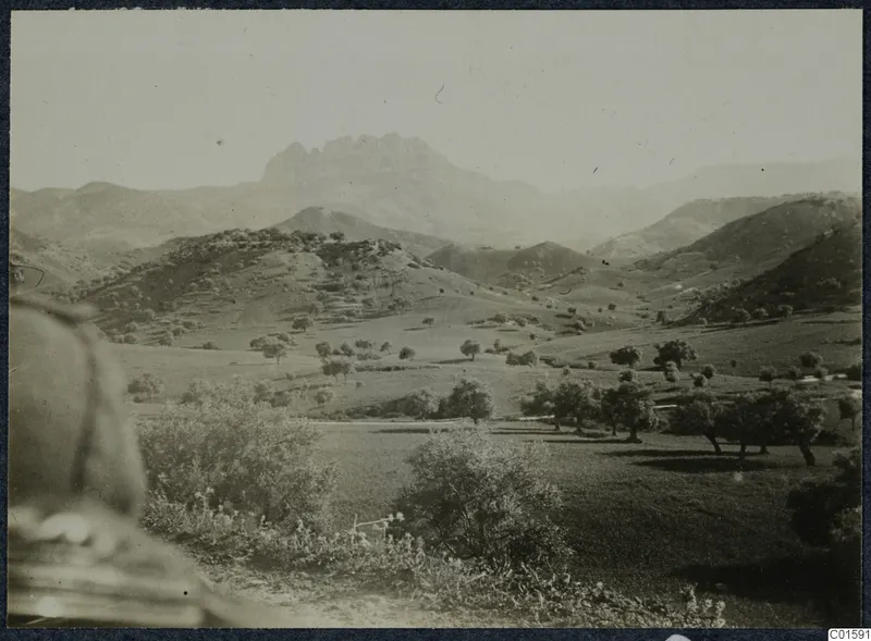 Hilly rural landscape with scattered trees and a distant rocky mountain ridge.