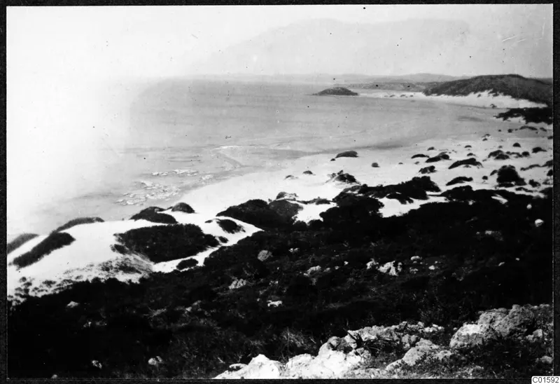 Sandy beach curving around a bay of calm water, with dark scrub and rocks on the shore below a high viewpoint.