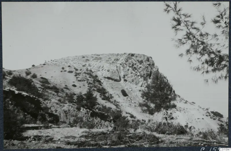 Rocky hill with scattered stones, scrub and a pine tree at Vouni