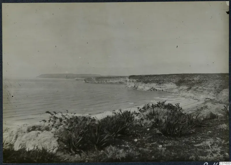 Rocky coastline with cliffs, a sandy bay and scrubby plants in the foreground, at Paphos