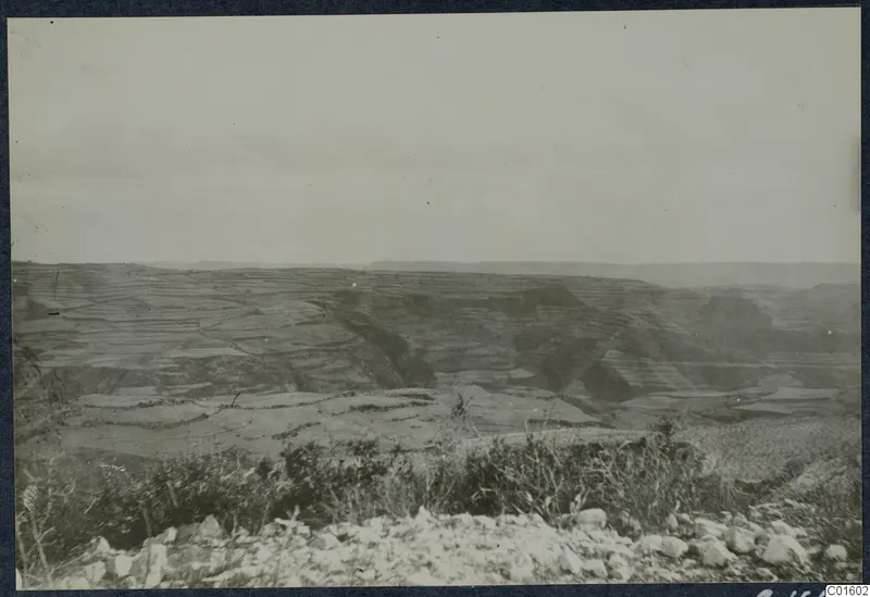 Wide view over terraced hillsides and a deep valley, with scrub and stones in the foreground under a pale sky.