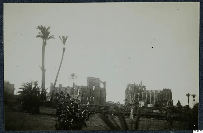 Ruined stone buildings and tall palm trees at Famagusta, seen across open grassy ground.