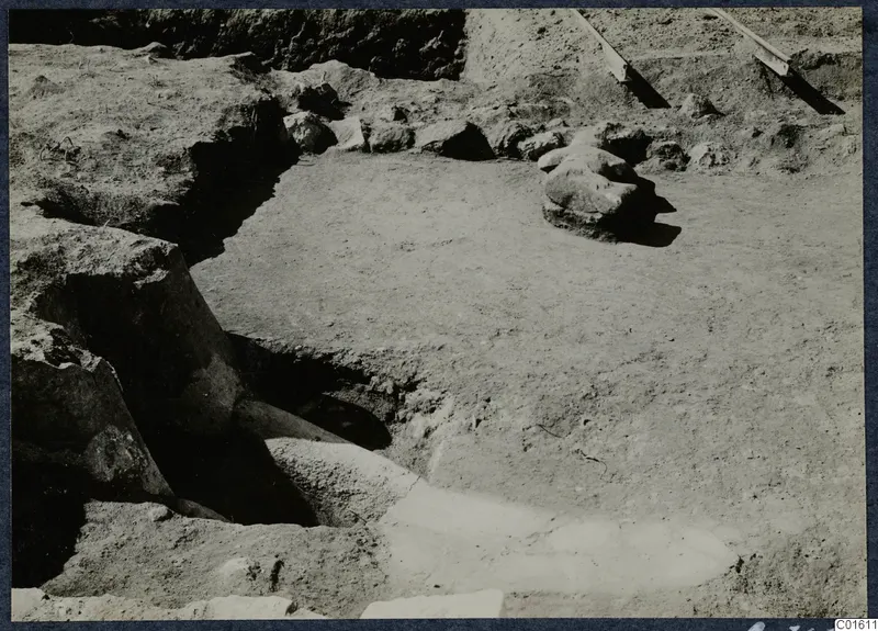 Excavation trench at Vouni Palace with large stones and rails visible