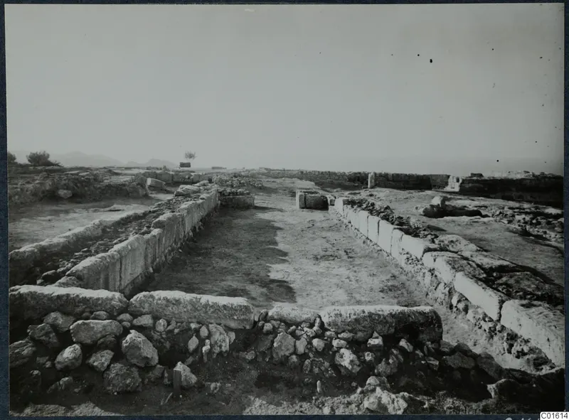 Excavated walls of rough and dressed stone at Vouni palace, with a cleared earthen floor between them.