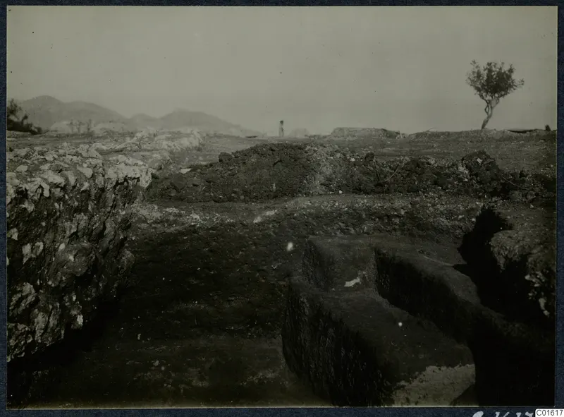 Excavated trench and low stone walls at Vouni Palace, with a small standing figure and a tree in the distance