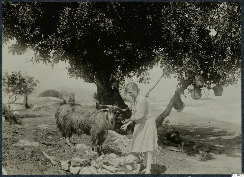 Gudrun Atterman with the goat Filoxenos II beneath a large tree at Vouni