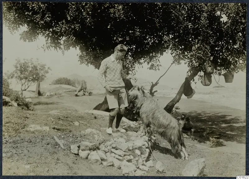 Alfred Westholm standing beside the goat Filoxenos II under a tree at Vouni