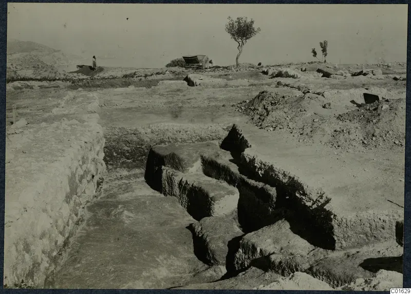 Excavated stone walls at the palace at Vouni, with a standing person and a tree in the background