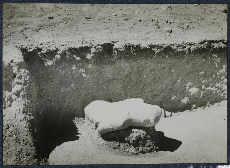 Finds in situ at Vouni Palace: a pale stone lying in an excavated trench beside a layered soil face
