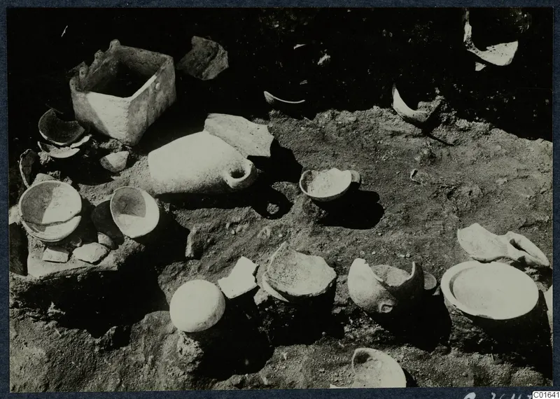 Vessels and sherds lying in situ in excavated soil at Vouni.