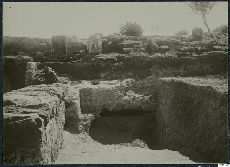 Excavation at the palace at Vouni, with stone walls, a deep trench and a small tree