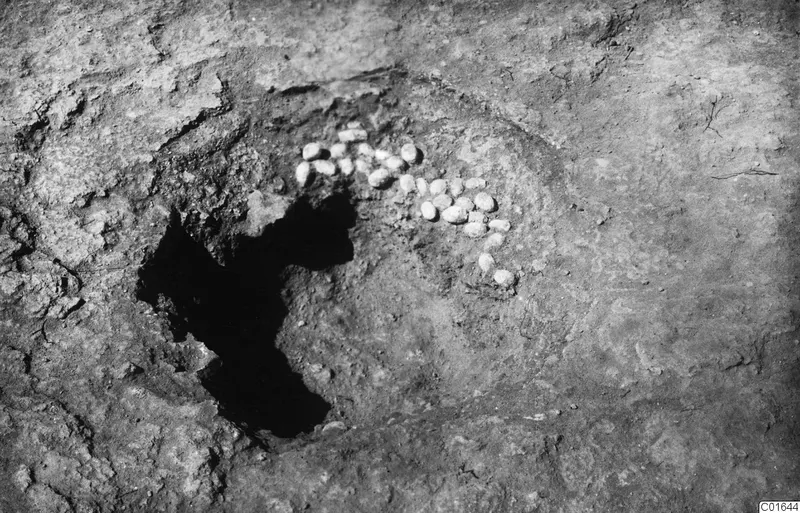 Small pale stones lying in an arc on excavated ground beside a dark hollow at Vouni Palace