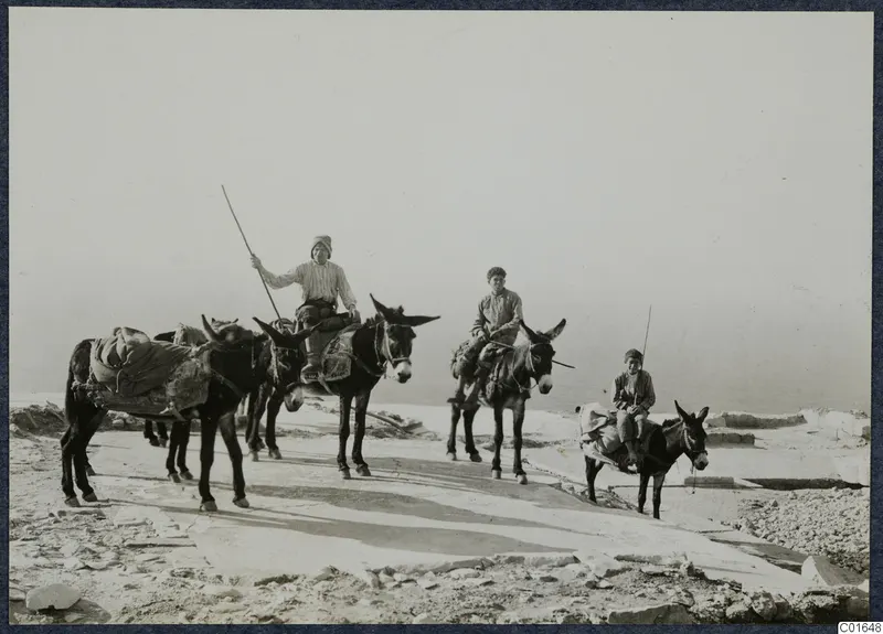 Donkeys carrying packs and three young riders on a flat stone track above the sea at Vouni