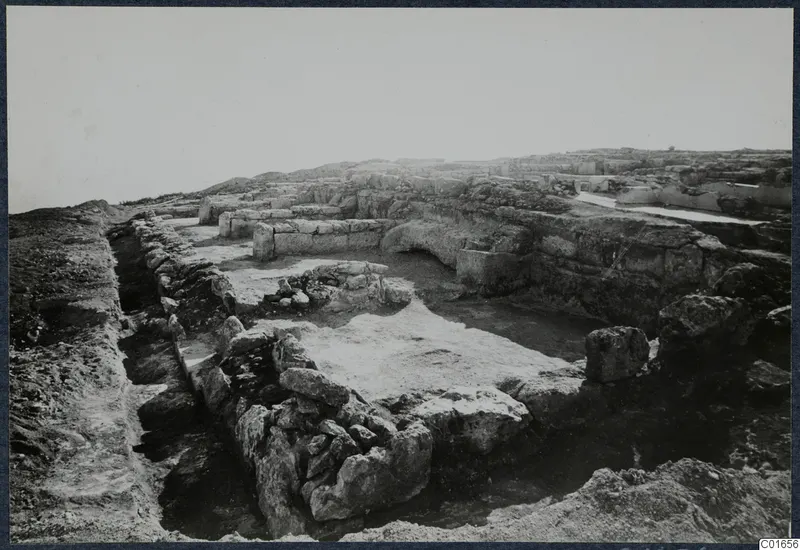 Excavated stone walls and foundations at the palace at Vouni, seen from a raised viewpoint.