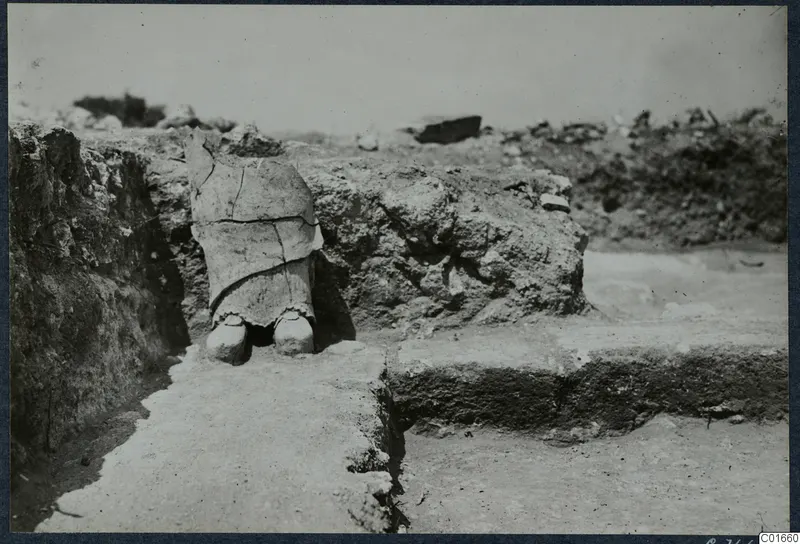 Finds in situ at Vouni Palace: a broken large vessel standing in an excavated trench beside a stone wall