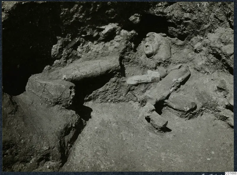 Broken stone sculpture fragments, including a head and limbs, lying in situ in excavated earth at Vouni Palace