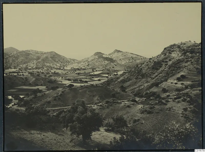 Hilly landscape near Vouni with a large tree in the foreground, a winding road and cultivated fields in the valley.