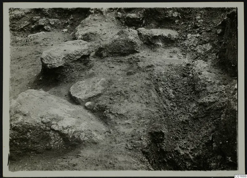 Excavated ground with large rough stones and a small pale object at Petra tou Limniti