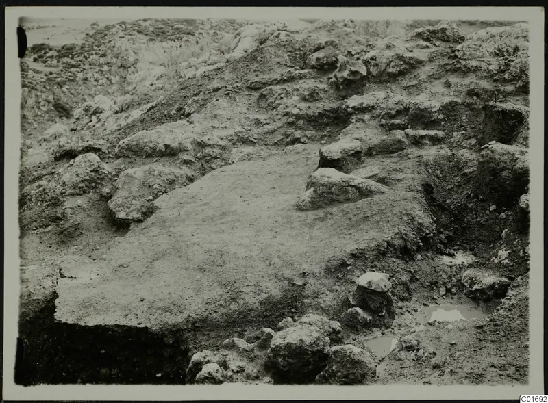 Excavation at Petra tou Limniti with a flat earthen surface and many scattered stones