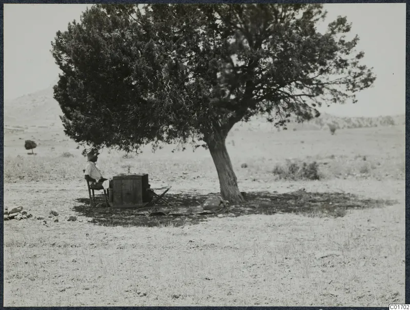 Erik Sjöqvist seated on a folding chair in the shade of a large tree at Ayios Iakovos