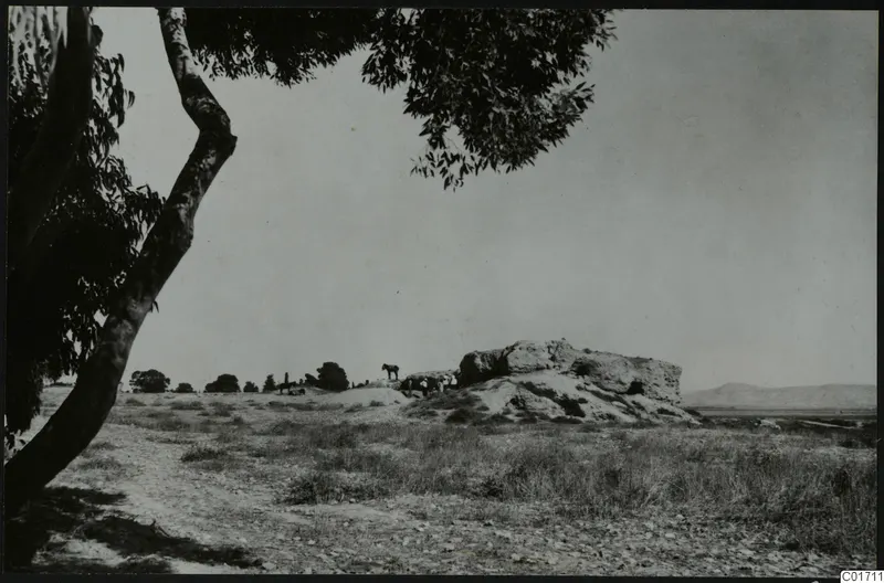 Kition, Bamboula seen from the south, with a large rocky mound and a leaning tree in the foreground