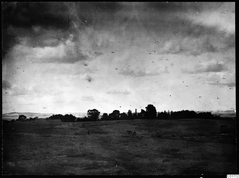 View north from Ramboula over open bare ground, a line of trees and low hills under a cloudy sky.