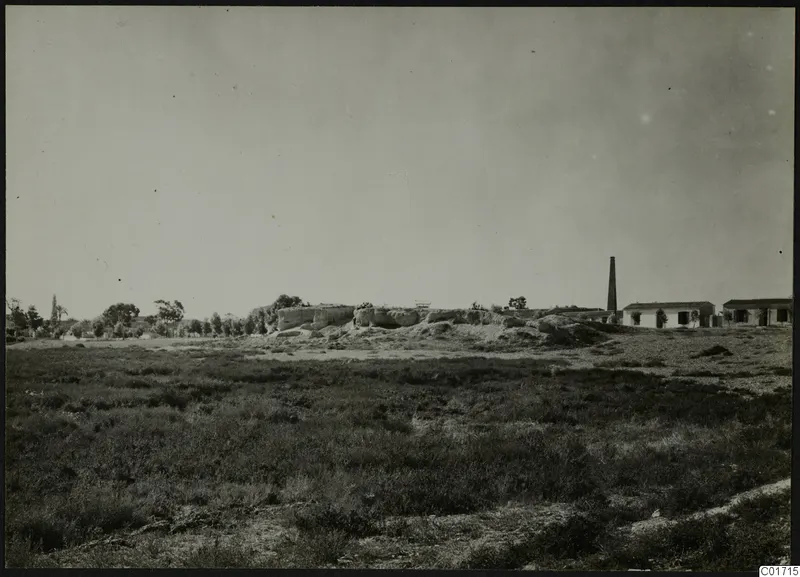 Bamboula at Kition seen from the north, with rough stone remains, trees and white buildings beyond the grassland.