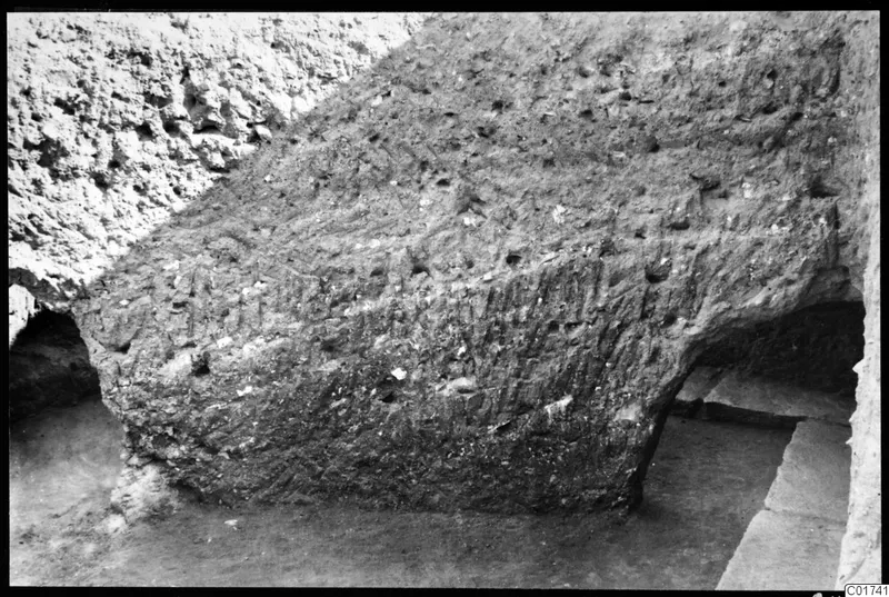 Soil section through the cult room at Kition, seen from the west, with a large rounded earth mass and a stone step.