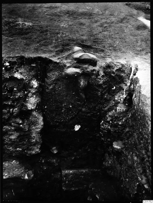 Central pit at Kition with a soil profile beside a statue deposit, seen from above