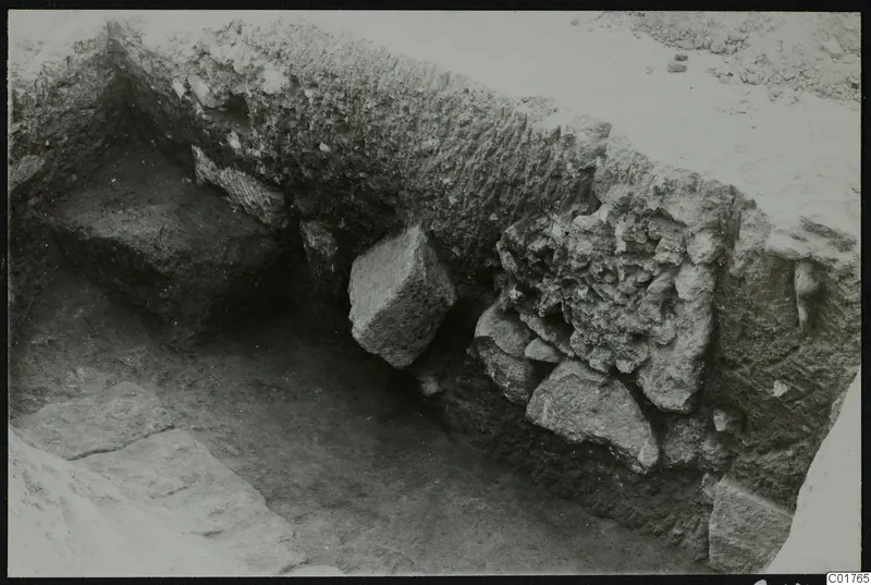 Longitudinal profile of the central pit in excavation, with stones set in the soil face