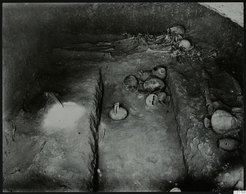 Interior of Tomb 7 at Kountoura Trachonia, with skulls and bones against the back wall and pottery vessels on the floor.