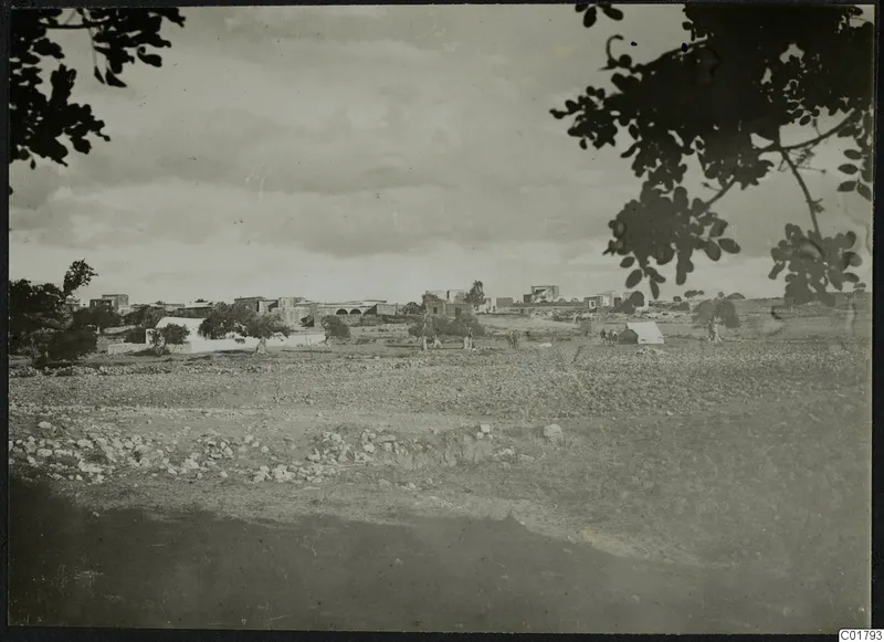 Buildings, people and trees at Ayia Irini, seen across a stony, cleared field