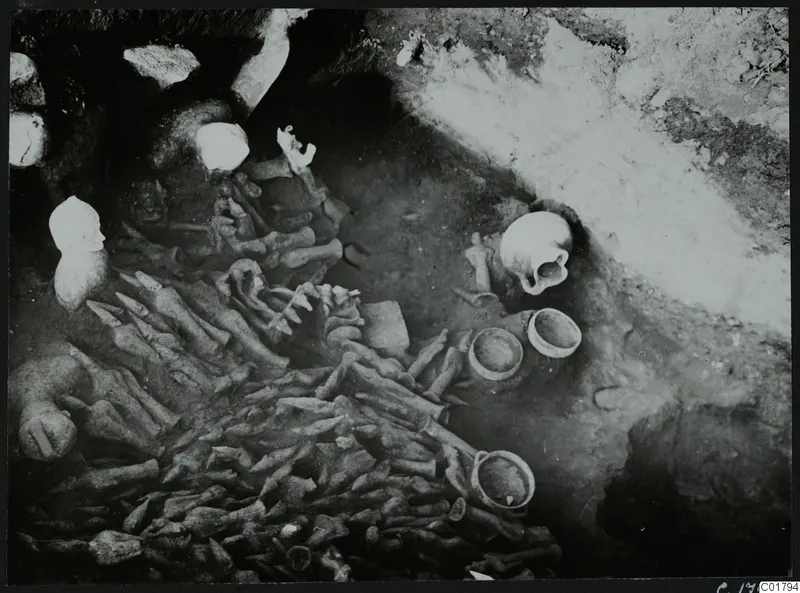 Excavated square L 11 at Ayia Irini with a mass of bones, pottery vessels and a pale figurine in situ