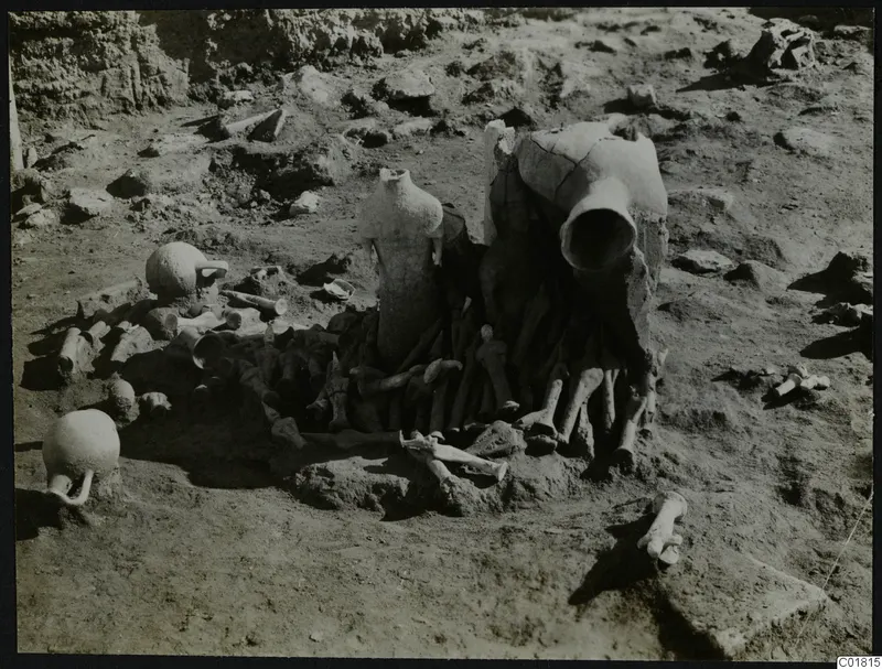 Finds in situ at Ayia Irini: two large jars and small jugs among a heap of bones on excavated ground