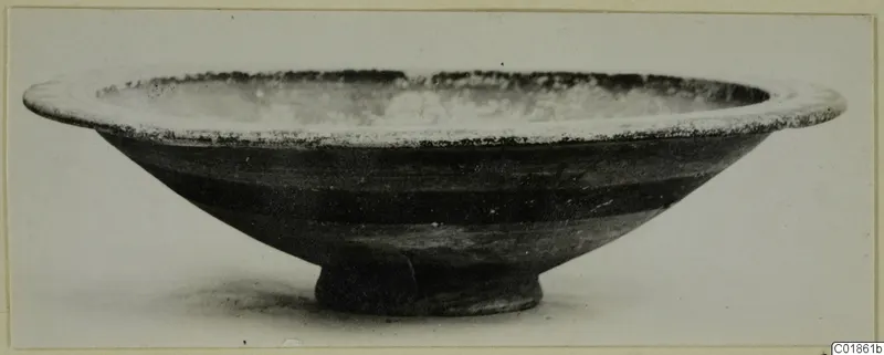 Pottery Black-on-Red bowl with a wide flat rim and a short foot, shown in side view.