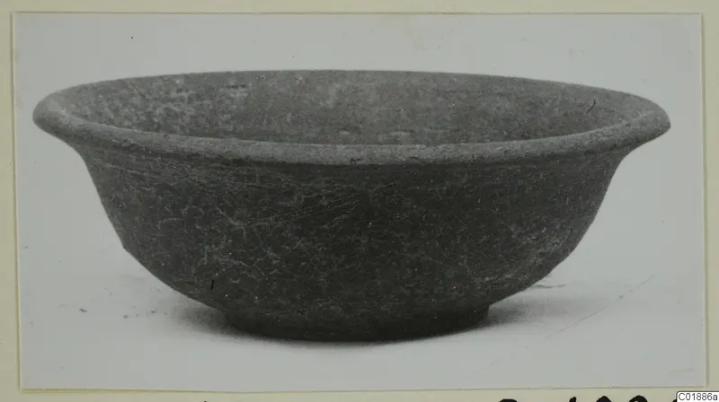 Shallow bowl with a flaring rim and small ring base, photographed against a pale background.