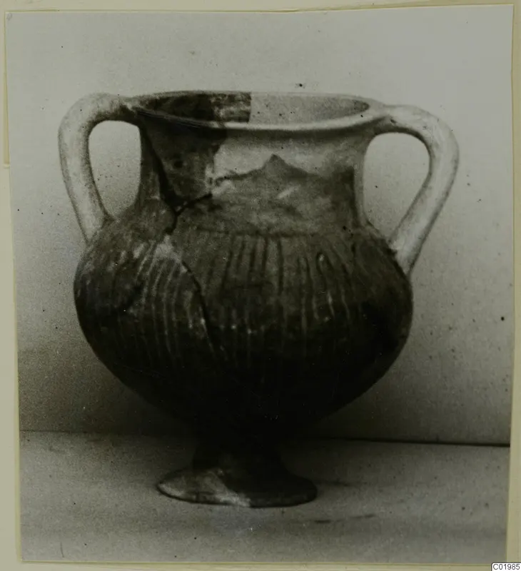 Pottery Black Slip Ware pot with two handles, a ribbed body and a small foot, from Lapithos