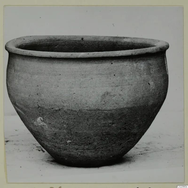 Pottery Plain White VII, a wide plain bowl with a thick rounded rim, photographed alone on a pale surface
