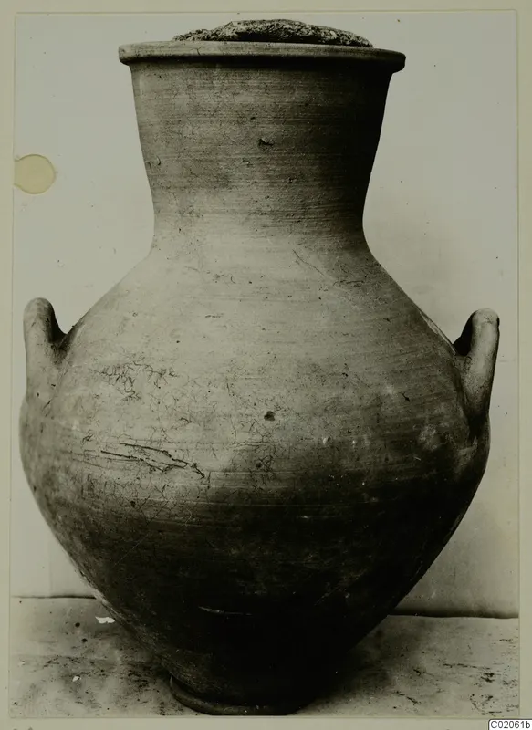 Pottery Plain White VI: a two-handled jar with a narrow neck and a rough lid, photographed against a pale wall.