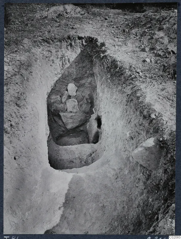 Excavated cut at Marion with large stones inside and grass growing on the ground above it