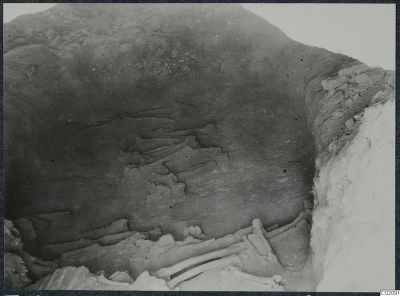 Tomb 10 at Ayios Iakovos: tomb chamber with skeletal remains lying on the floor during excavation