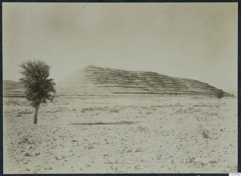 Wide view of a layered hill rising above stony ground, with a tree at left and a smaller tree to the right, at Idalion