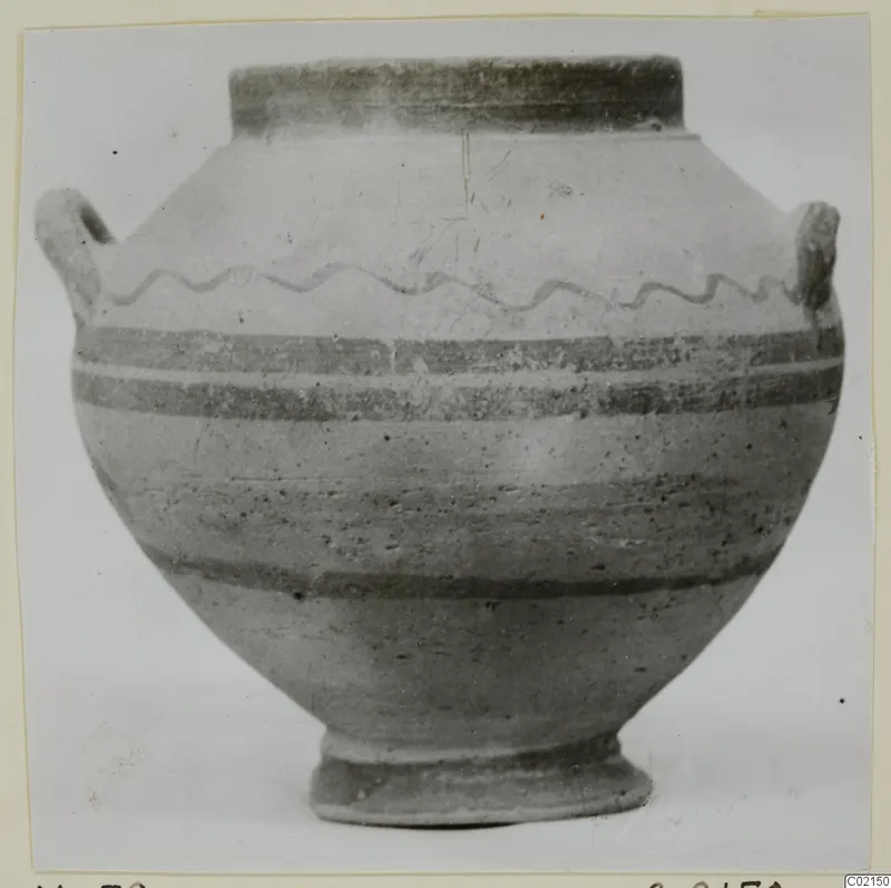 Pottery jar, White Painted VII, from Marion, with two shoulder handles, a wavy painted line and dark bands