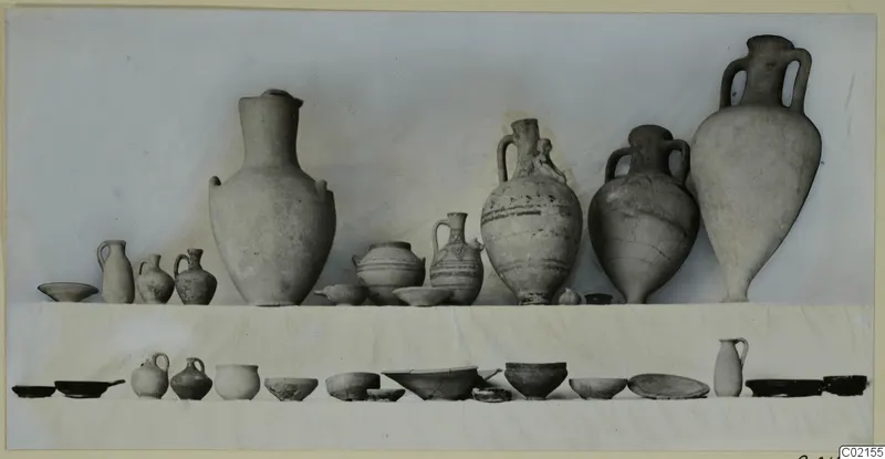 Pottery vessels from Marion Tomb 59, jugs, two-handled jars and bowls set out in two rows against a pale background.