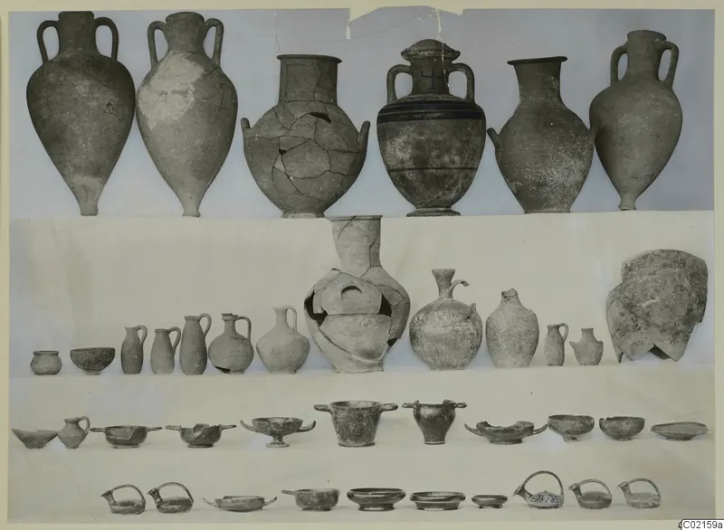 Pottery from Marion Tomb 67 in rows: tall two-handled jars, small jugs, bowls and dishes on a pale ground.