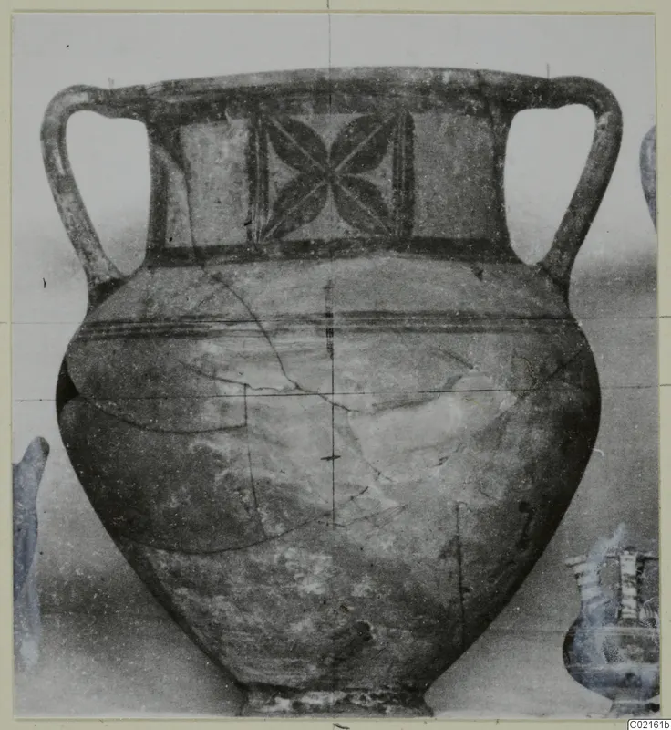 Two-handled painted amphora from Marion, with a four-petalled motif in a panel on the shoulder.