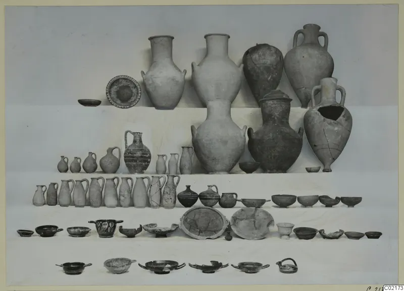 Pottery vessels from Tomb 44 at Marion: jars, jugs, juglets and bowls arranged in rows